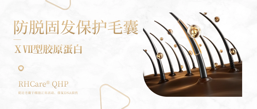 迪諾薇華ⅩⅦ 型膠原蛋白 | 一種可防脫生發(fā)、無(wú)“狂脫期”的神奇膠原蛋白